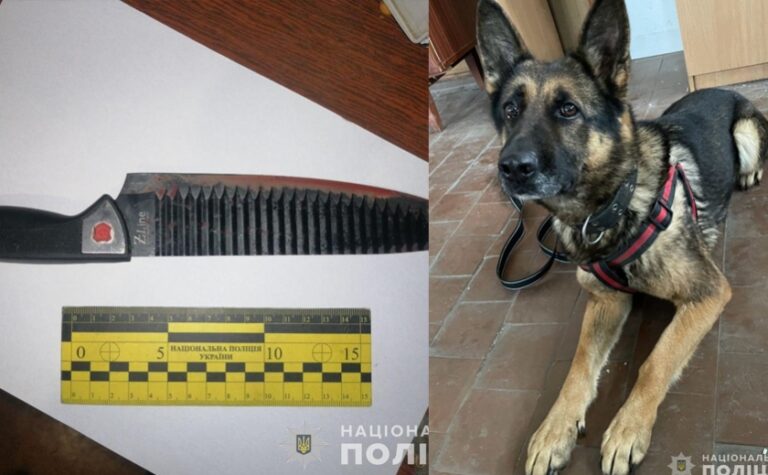 У Кривому Розі службовий собака допоміг розкрити вбивство: підозрювану у злочині затримали