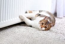 Коли у Дніпрі завершать опалювальний сезон: розпорядження міського голови