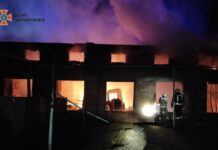 Площа займання 400 кв.м: рятувальники Запоріжжя приборкали масштабну пожежу