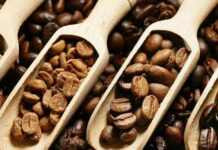 Чому ранкова кава може вбити ваш кишечник: особливості повсякденного ритуалу