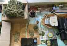 Поліцейські вилучили понад кілограм висушеного канабісу у жителя Запорізького району