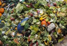 ООН: у 2022-му викидали 1 млрд порцій їжі на день, тоді як 10% людства голодували