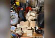 Зберігав у квартирі 110 кг пороху на продаж: у Дніпрі затримали зловмисника