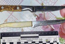 Вдарила чоловіка ножем у живіт: поліцейські Павлограда затримали зловмисницю