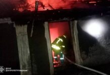 Надзвичайники Синельниківського району ліквідували пожежу в приватному секторі