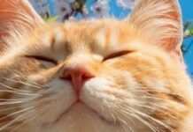 В Україні різко потеплішає до +24, проте можливі небезпечні явища: метеорологічний прогноз на вихідні