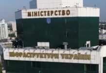 Мінінфраструктури: Україна та Туреччина подовжили дію лібералізації вантажних перевезень