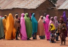 Нігерія: понад 200 викрадених дітей та їхніх вчителів звільнені