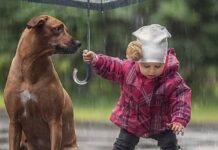 Доброта їх найсильніша сторона: названі головні добряки за знаком зодіаку