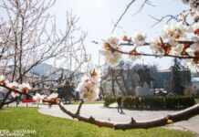 Синоптики прогнозують теплий квітень, але не по всій Україні