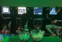 На Дніпропетровщині семеро жінок організували діяльність п’яти підпільних гральних закладів: подробиці