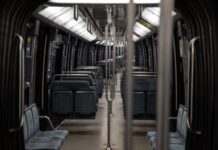 Страх перед клопами в Парижі був штучно посилений російською «дезінформацією» – міністр