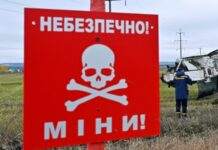 Двоє людей підірвалися на російській міні на Херсонщині, один із них загинув – ОВА