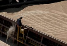 Єврокомісія пропонує підвищити мита на імпорт російського зерна