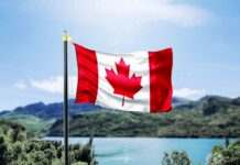 Канада затвердила оновлену угоду про вільну торгівлю з Україною