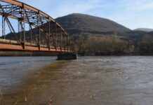 На Закарпатті планують побудувати порт на Тисі