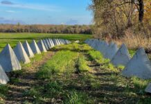 В Одеській області зміцнюють та будують оборонні фортифікації, – ОВА