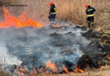 За минулу добу рятувальники ліквідували 58 пожеж в екосистемі та притягнули до адміністративної відповідальності 29 паліїв