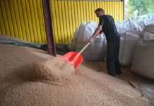 Єврокомісія пропонує збільшити митні збори на імпорт зерна з РФ та Білорусі