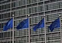 У ЄС попередньо погодили продовження безмитного експорту української сільгосппродукції