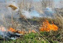 У Чернігівській області росіяни використовують безпілотники із запалювальною сумішшю, – ДПСУ