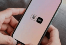 Як подивитися судове рішення в “Дії”: покрокова інструкція