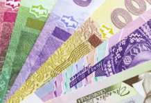 Які банкноти найчастіше підробляють фальшивомонетники: у НБУ назвали найпопулярніші номінали