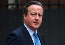 Кемерон звинуватив Ізраїль у блокуванні пропускних пунктів допомоги в Секторі Газа