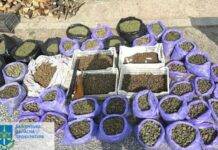 Жителя Ульянівки викрито на зберіганні з метою збуту 45 кг канабісу