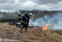 Рятувальники Дніпропетровщини невпинно продовжують боротися з пожежами в екосистемах