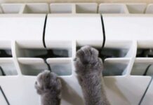 У Дніпрі на цьому тижні закінчать опалювальний сезон