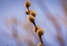 Ніч на 7 березня на Дніпропетровщині минула без обстрілів: ОВА