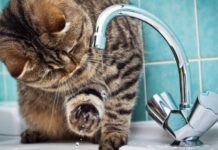 У Дніпрі припинено водопостачання у деяких житлових масивах: подробиці