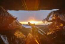 На фронті впродовж доби відбулося майже пів сотні зіткнень – Генштаб ЗСУ