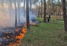 Харківщина: рятувальники ліквідували дві пожежі, спричинені російськими обстрілами