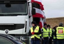 ДПСУ: у Польщі протестувальники відновили блокування руху вантажівок через пункт пропуску «Угринів-Долгобичув»