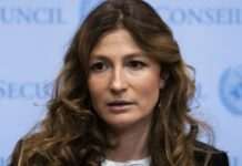 Уряд звільнив першу заступницю міністра закордонних справ Еміне Джеппар