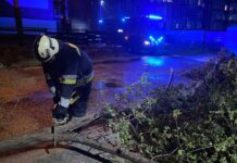 Низку областей України накрила негода: названо наслідки