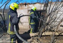 Дніпровський район: вогнеборці ліквідували займання житлового будинку та трьох господарчих споруд
