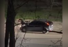 Поліція встановлює свідків злочину Дніпрі: деталі