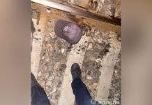 Поліція Дніпра встановлює особу чоловіка, тіло якого виявили на залізничній колії: деталі