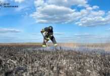 Площа займання 1000 кв. м: у плавневій зоні Дніпра рятувальники ліквідували пожежу