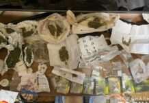 Запорізькі поліцейські вилучили у містянина пів кілограма канабісу: подробиці