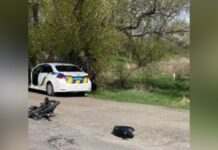 На Дніпроптеровщині внаслідок зіткнення мотоцикла з вантажівкю загинула 19-річна дівчина