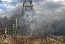 Вогнеборці Дніпропетровщини ліквідували 26 пожеж в екосистемах протягом доби