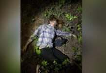 Тіло лежало у кущах: у Кривому Розі виявили труп 15-річної дівчини