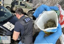 На Запоріжжі співробітника ДСНС та його змовника викрили на збуті наркотиків: деталі
