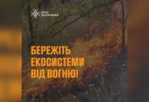 За минулу добу рятувальники Запоріжжя ліквідували 3 пожежі в екосистемах