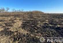 Від 2 до 5 років тюрми за підпал сухої трави: подробиці