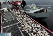 Наловили риби на 3 млн грн: у Запоріжжі виявили двох браконьєрів